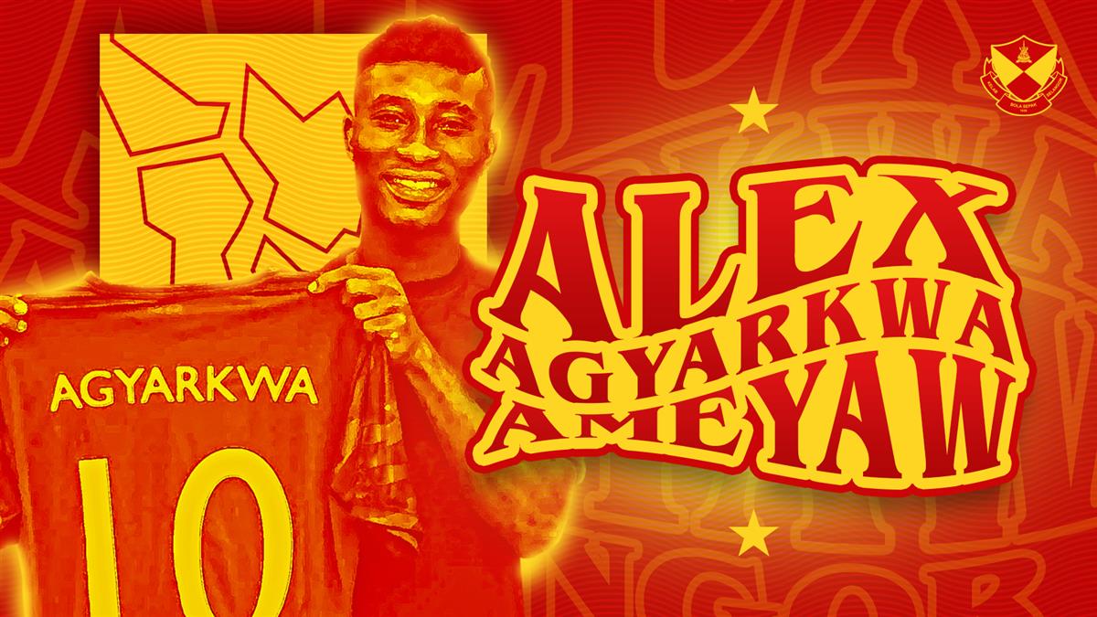 443586535354861ALEX_TWT_2