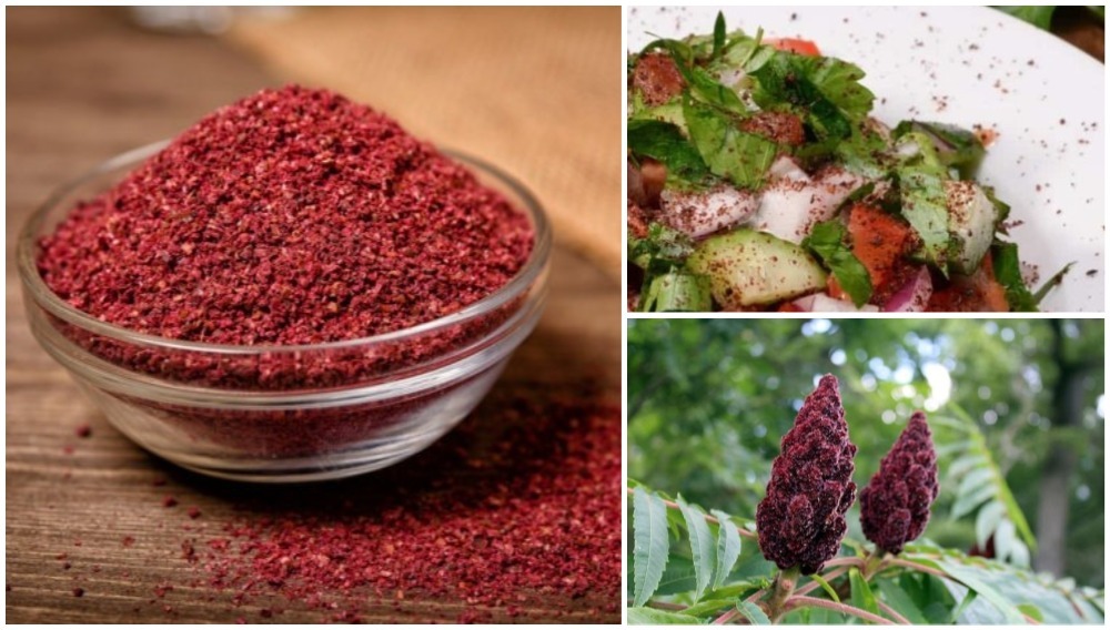 khasiat sumac