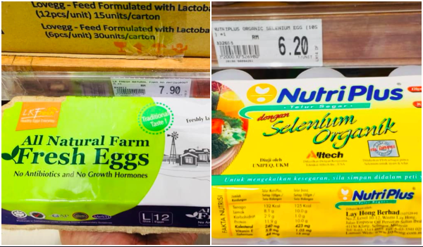 cara pilih telur