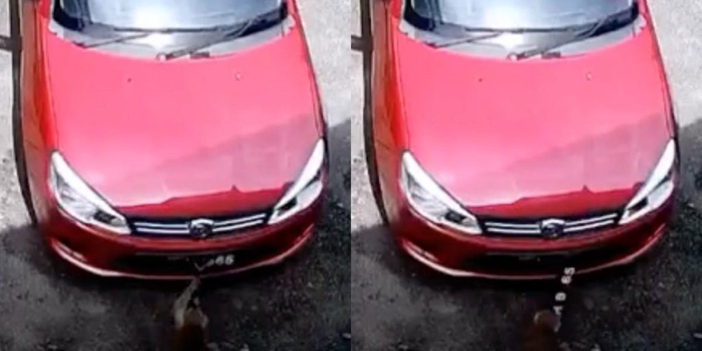 vocket-monyet-curi-nombor-plat-kali-ke-7-header