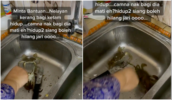 cara siang ketam