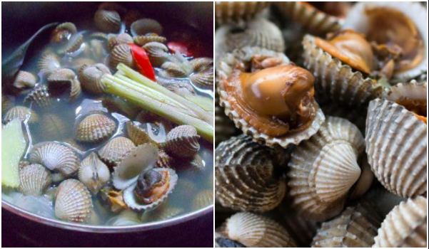 kerang