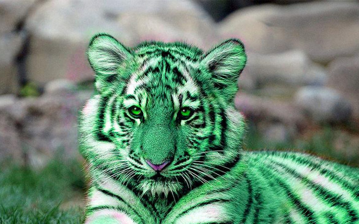 Harimau Melaka