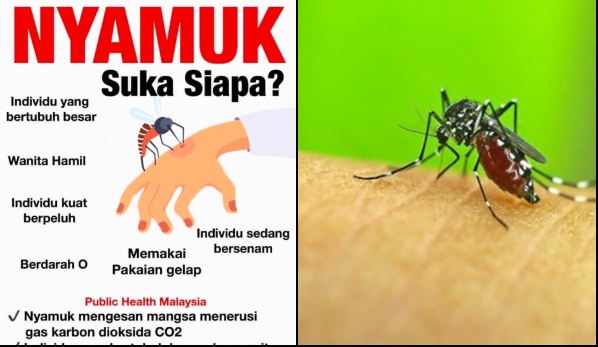 petua halau nyamuk