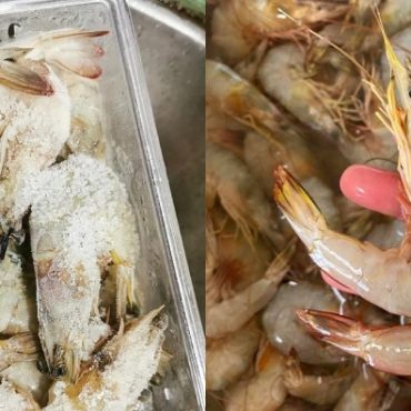 tips simpan udang