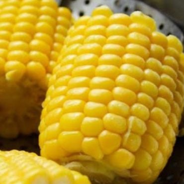 tips rebus jagung