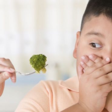 anak picky eater