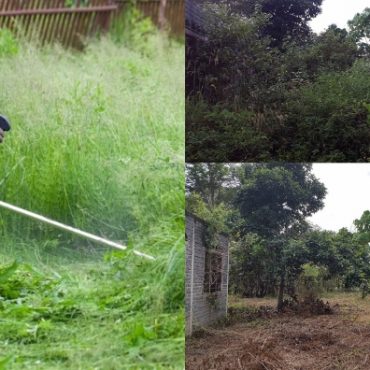 tips potong rumput