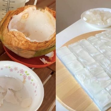resepi kelapa jelly