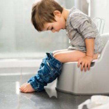 potty train anak
