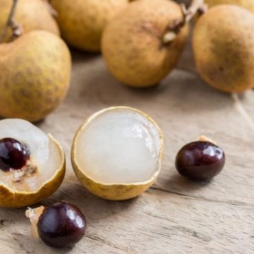 KHASIAT BUAH MATA KUCING
