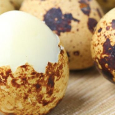 khasiat telur puyuh