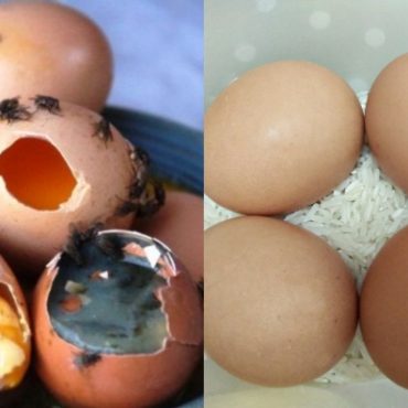 cara simpan telur