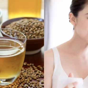 khasiat barley tea