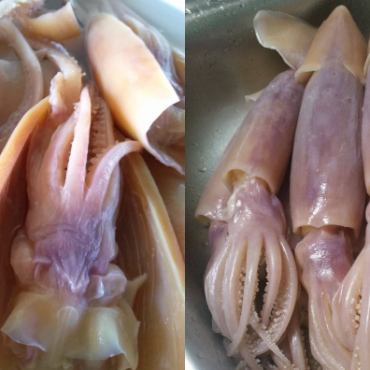 cara siang sotong kembang