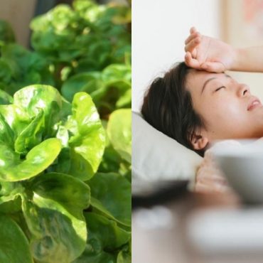 makanan anti anemia
