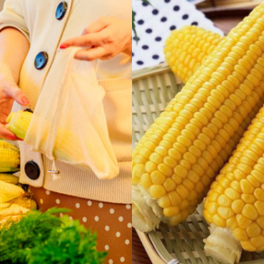 JAGUNG UNTUK IBU HAMIL