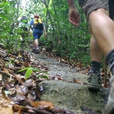 pantang larang masuk hutan