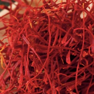 khasiat saffron