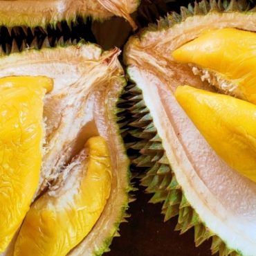 tips memilih buah durian