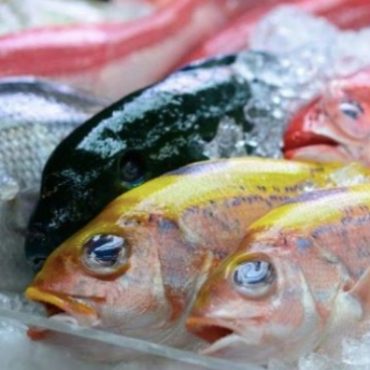 ikan tinggi omega-3