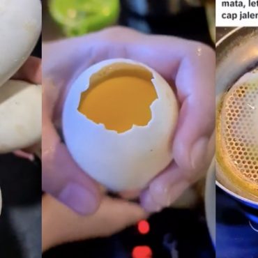 hukum makan telur haiwan