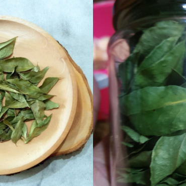 CARA SIMPAN DAUN KARI