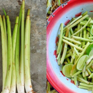 sayur keladi