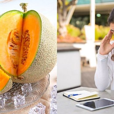 buah melon