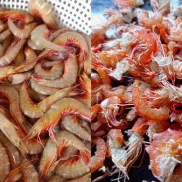 UDANG KERING HALUS