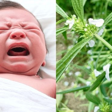 petua melegakan perut kembung anak