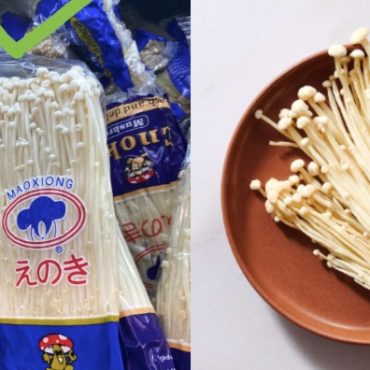 cendawan enoki