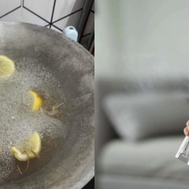 kelebihan lemon