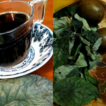 minuman untuk sejukkan badan