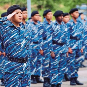 PLKN 3.O