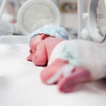 MADU UNTUK BAYI
