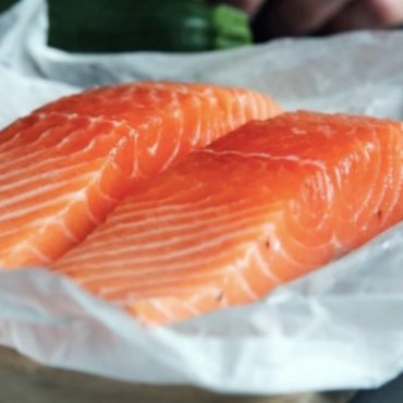 ikan salmon