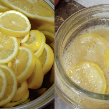 pati lemon