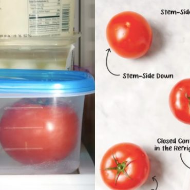simpan tomato tahan lama