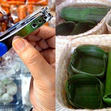 pembungkus makanan