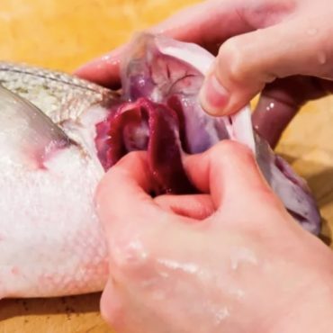 cara siang ikan