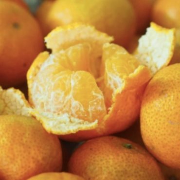 buah limau mandarin