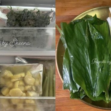 simpan sayur
