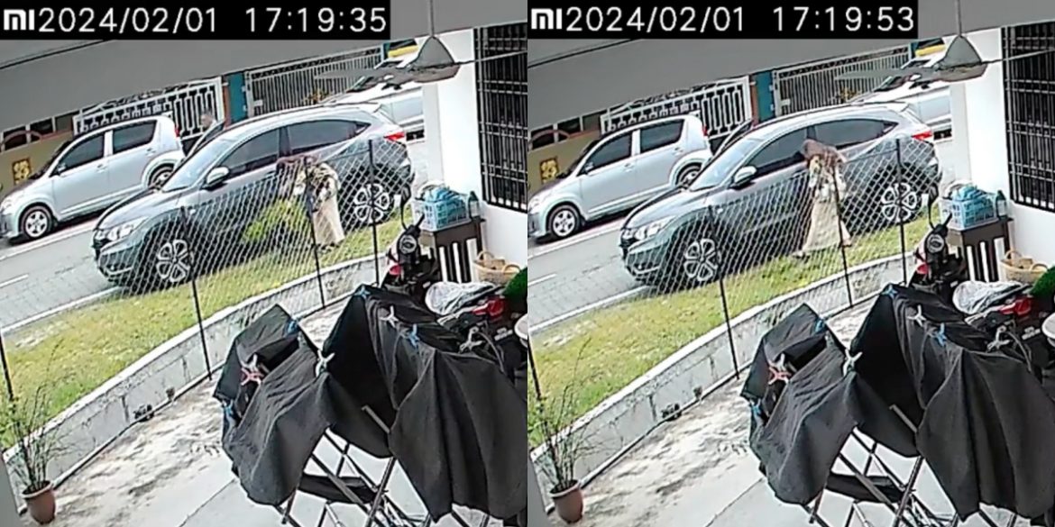 'Mak Cik Apa Salah Pokok Itu? Sakit Hati Saya Tengok'