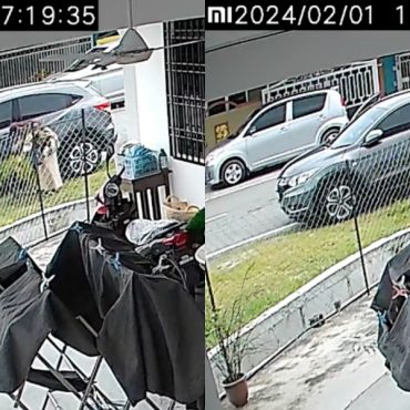 'Mak Cik Apa Salah Pokok Itu? Sakit Hati Saya Tengok'
