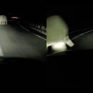 Netizen Puji Pemandu Wanita Ini Cekap Elak Sekawan Gajah Di Selekoh Jeli-Grik