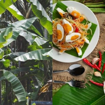 daun pisang