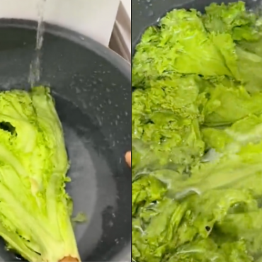SAYUR LAYU