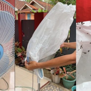 kipas angin sejuk