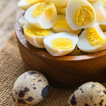 TELUR BURUNG PUYUH
